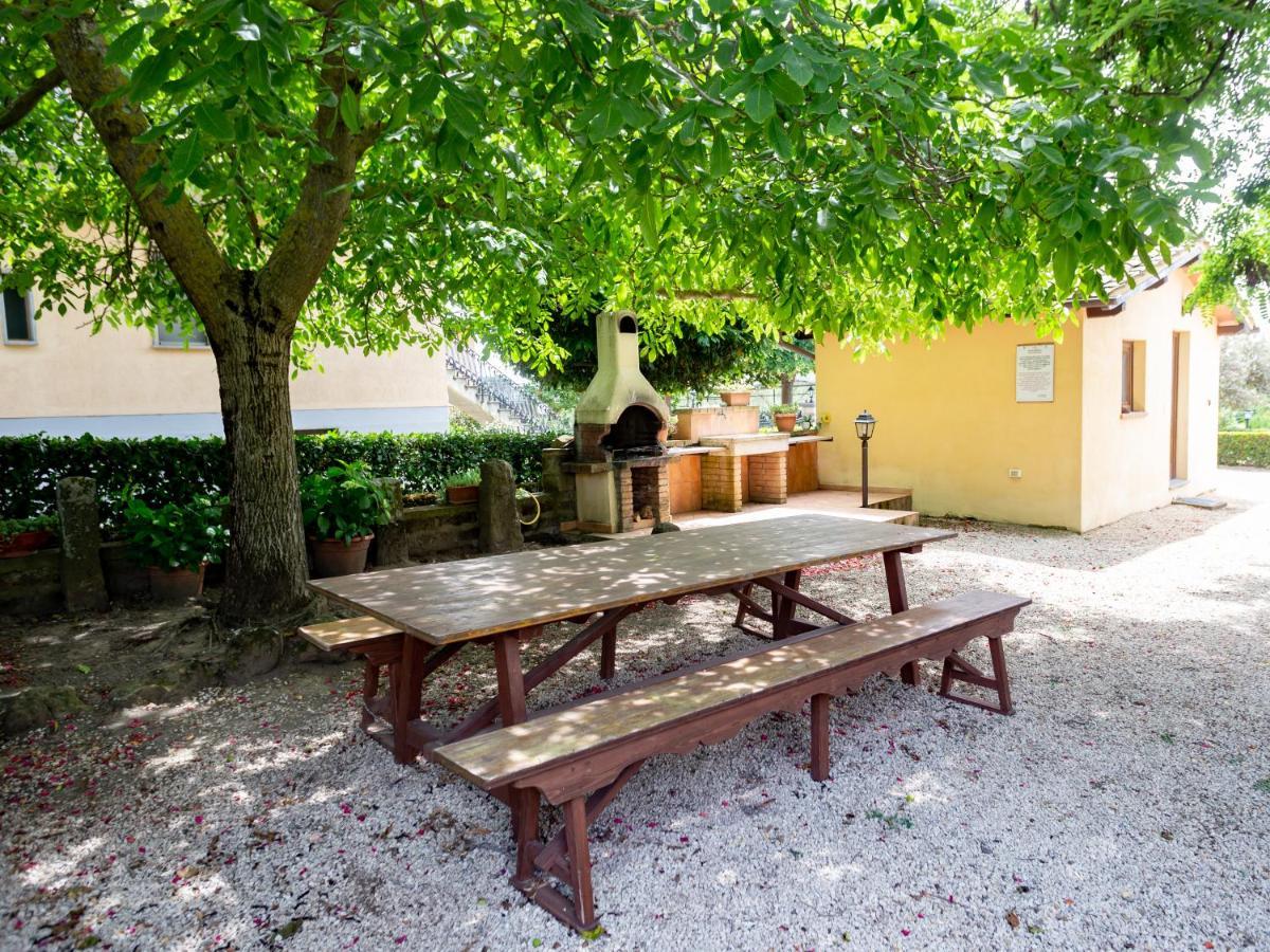 Agriturismo Casale Del Contadino Μπολσένα Εξωτερικό φωτογραφία