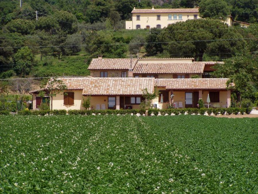 Agriturismo Casale Del Contadino Μπολσένα Εξωτερικό φωτογραφία