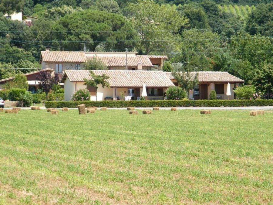 Agriturismo Casale Del Contadino Μπολσένα Εξωτερικό φωτογραφία