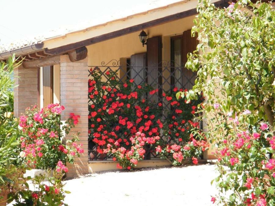 Agriturismo Casale Del Contadino Μπολσένα Εξωτερικό φωτογραφία