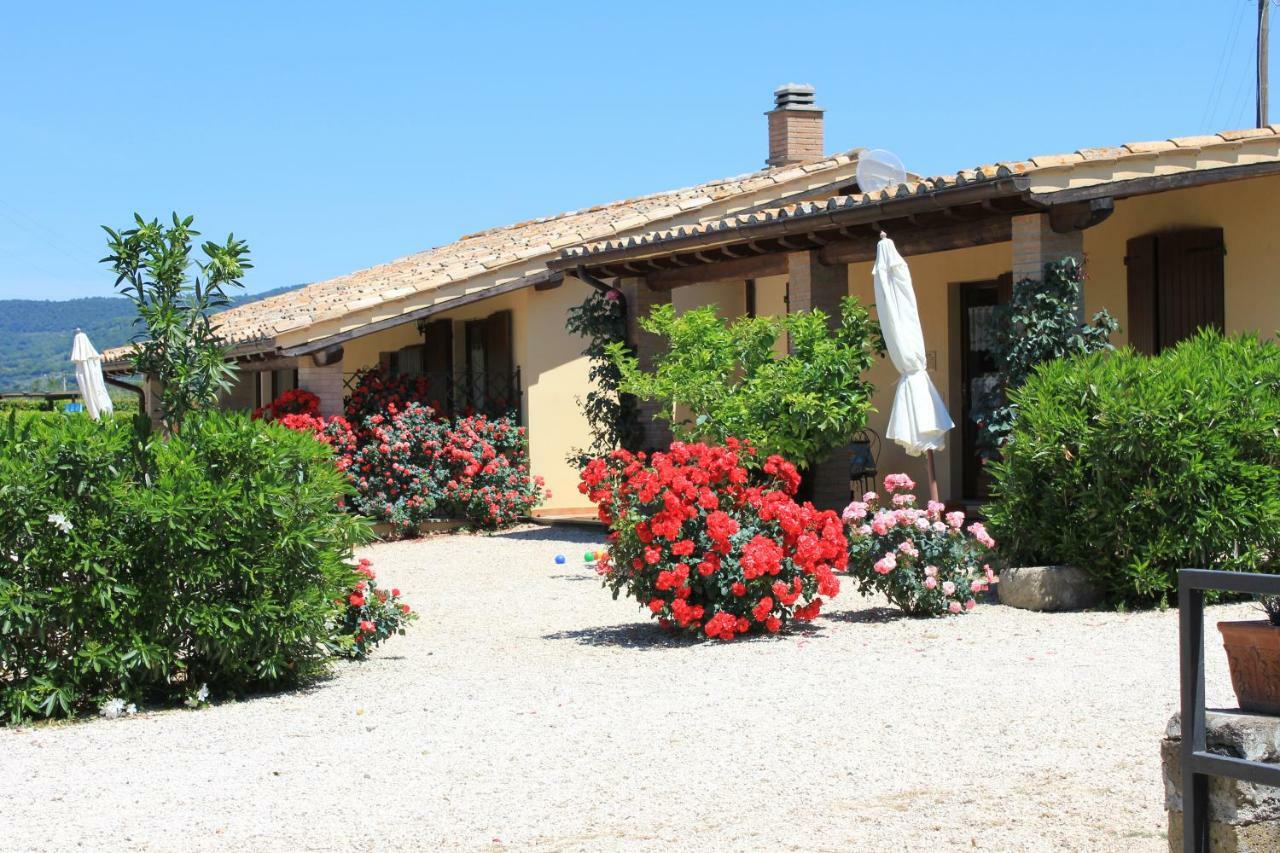 Agriturismo Casale Del Contadino Μπολσένα Εξωτερικό φωτογραφία