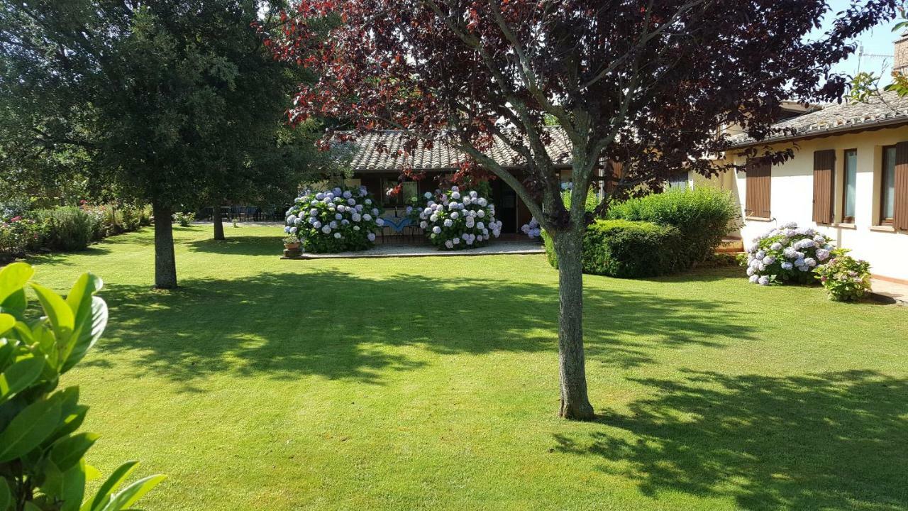 Agriturismo Casale Del Contadino Μπολσένα Εξωτερικό φωτογραφία