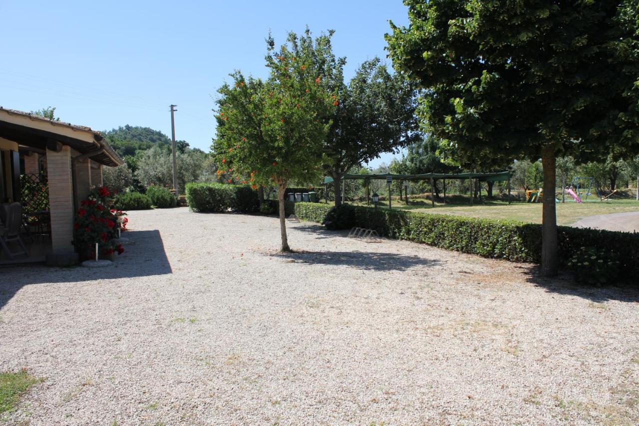 Agriturismo Casale Del Contadino Μπολσένα Εξωτερικό φωτογραφία