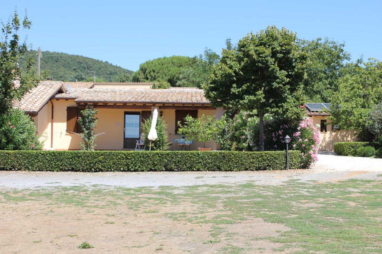 Agriturismo Casale Del Contadino Μπολσένα Εξωτερικό φωτογραφία